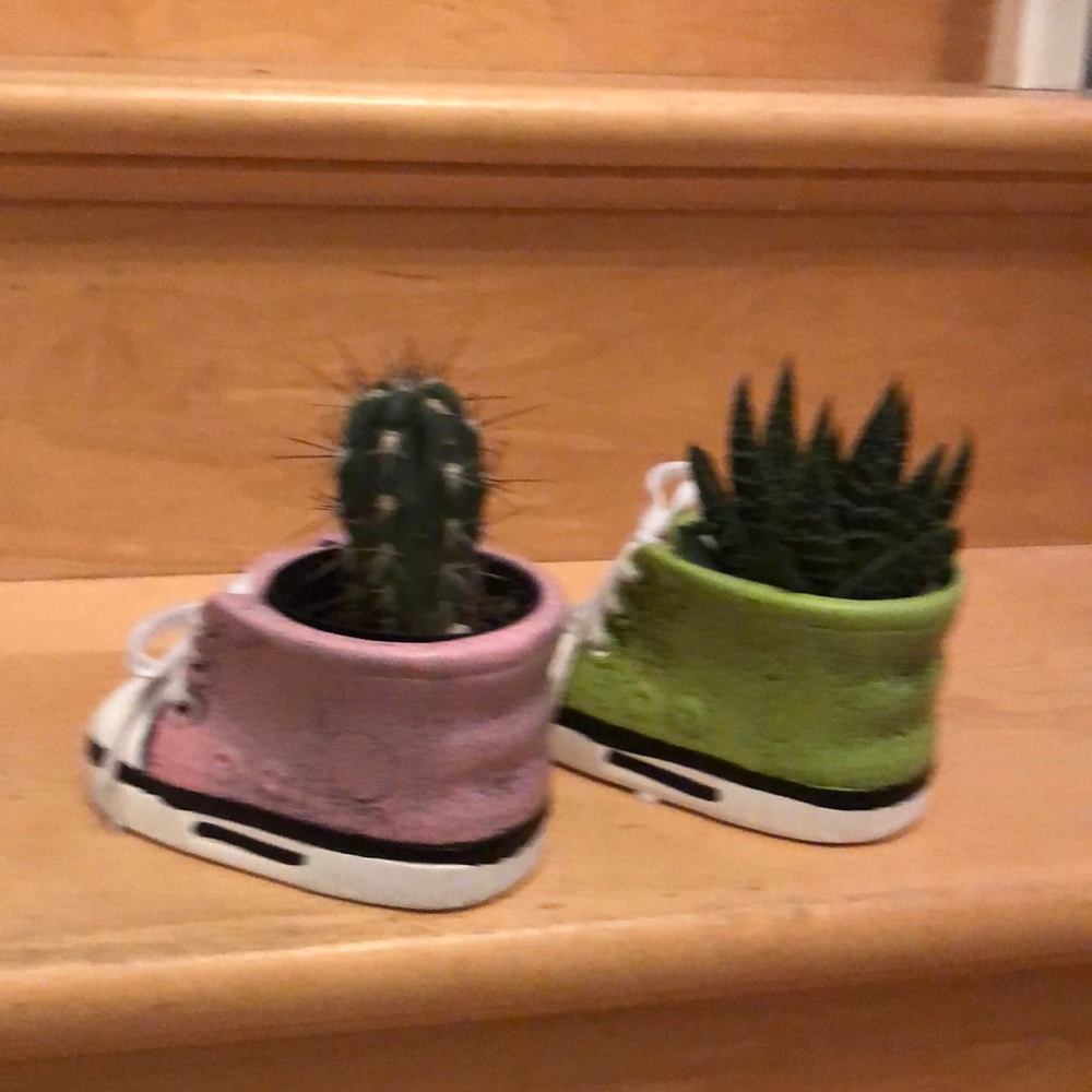 Running shoe potter - Picture 2 of 4